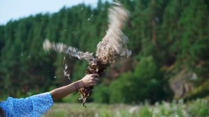 КУПИЛ 2 ДОМА В ДЕРЕВНЕ _ ЖИЗНЬ В ДЕРЕВНЕ _ ГУСЛИ И ПРОЩАНИЕ С ЛЕТОМ