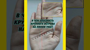Чем опасен остров на линии Ума?