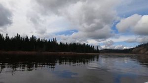 Лодка Тримаран Пингвин, открываю водно-моторный сезон 2023 год!