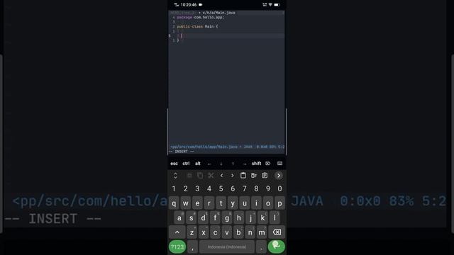 Java - Hello World смотреть онлайн