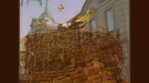 Горнальский Свято-Николаевский Белогорский монастырь