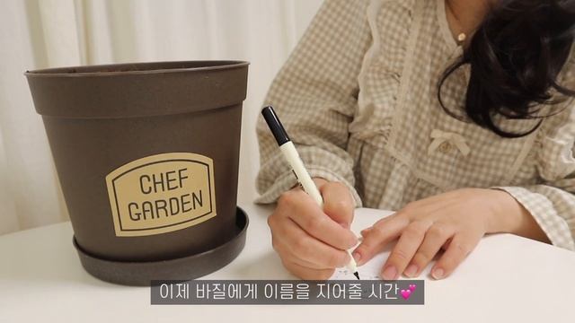 [eng]자취브이로그?| 나는 붉닭쌈 왜안돼???♀️, 김치볶음밥 해먹고 두찜 로제찜닭 시켜먹는 일상, 크로크무슈?, 바실키우기?, 홍대 레코디드, 증명사진,자취일상?
