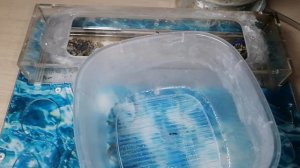 Лучший антипобег для муравьёв. #МуравьиЯрославль