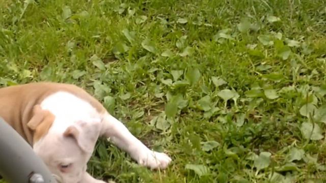 ve120711004 смотреть онлайн