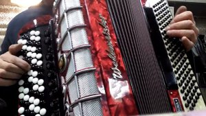 Одинокая гармонь на баяне