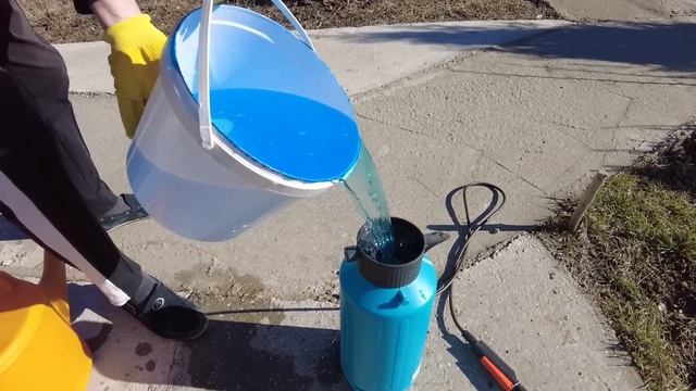 Осмотр сада после зимы опрыскивание и обработка сада весной от болезней и уничтожение вредителей