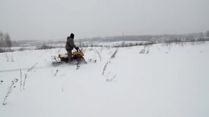 Dingo T-150 Дополнительные лыжи на снегоход