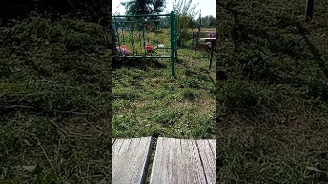 ВСЕ НА КЛАДБИЩЕ УБИРАТЬ МОГИЛЫ УСОПШИХ РОДНЫХ-ПОРА НАВОДИТЬ ПОРЯДОК. ТРАВОЙ ЗАРОСЛО ВСЕ КЛАДБИЩЕ...