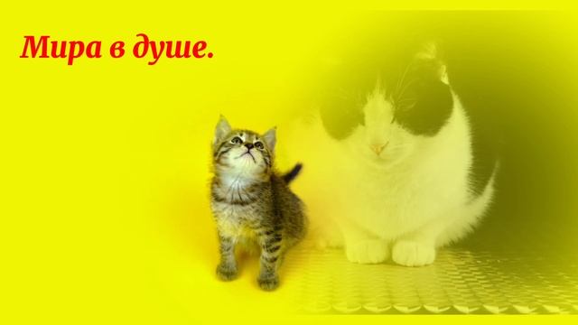 Тепло души. смотреть онлайн