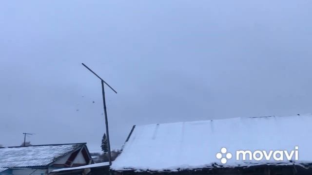 Полет почтовых голубей (28.11.2021) смотреть онлайн