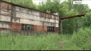 Удар током в 10 тысяч вольт. В Барнауле подросток остался без рук, спасая котенка