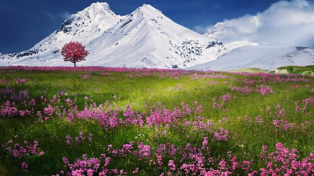 Japanese traditional relaxing music | Koto, Zen Garden, Instrumental, Spa – NO. 2 смотреть онлайн