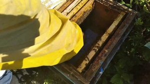 Результат ошеломил!!!! Сублиматор щавелевой кислоты газовый ..