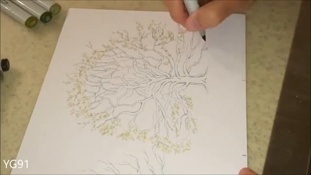 Cum sa colorezi un stejar cu markere Copic смотреть онлайн