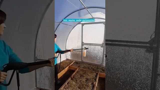 Как и зачем мыть теплицу? #огород #моемтеплицу #какпомытьтеплицу смотреть онлайн