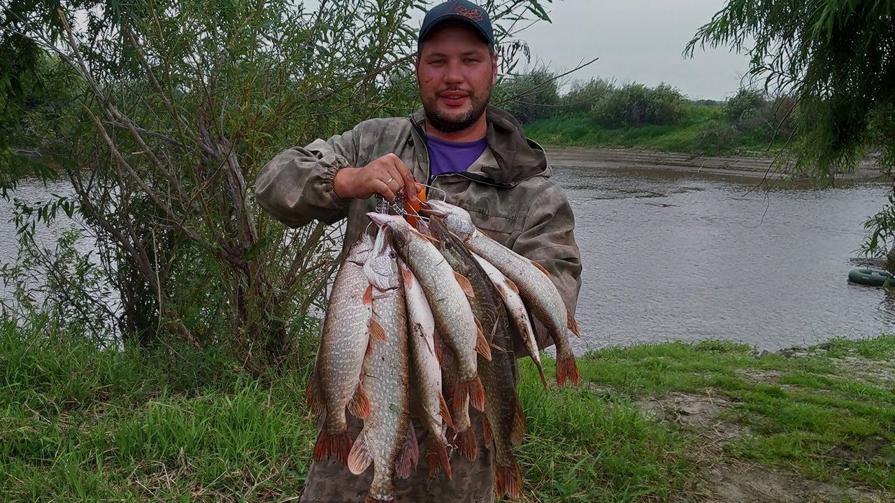 ТАКОГО КЛЕВА Я НЕ ОЖИДАЛ! ЩУКА НА СПИННИНГ. ЩУКА НА ДЖИГ смотреть онлайн