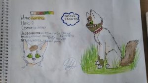 Мои рисунки котов воителей// реферансы персонажей