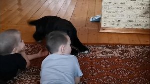 САО. Знакомство с домом и детьми.