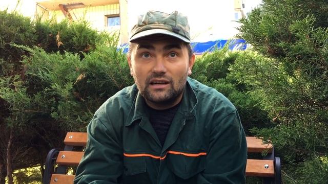 Можжевельники после кардинальной обрезки спустя пол года смотреть онлайн