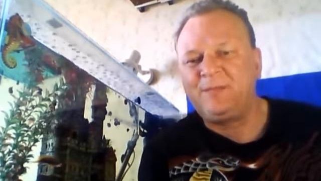 Скалярия уход и содержание