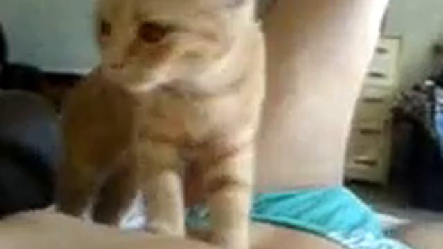 Мася масажист.3gp смотреть онлайн