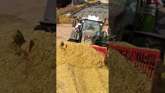 #fendt 933 auf dem Silo #lpgostharz #agriculture #blunk #lohnunternehmenblunk #mais #farming #fyag смотреть онлайн