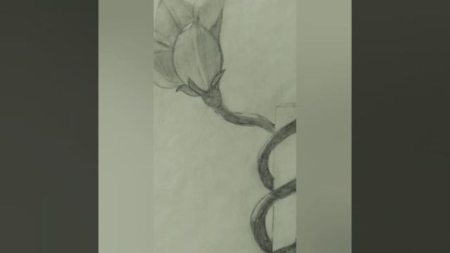 как рисовать простым карандашом