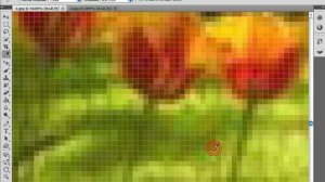 Уроки Photoshop 6  Что такое пиксели или изчего состоит картинка