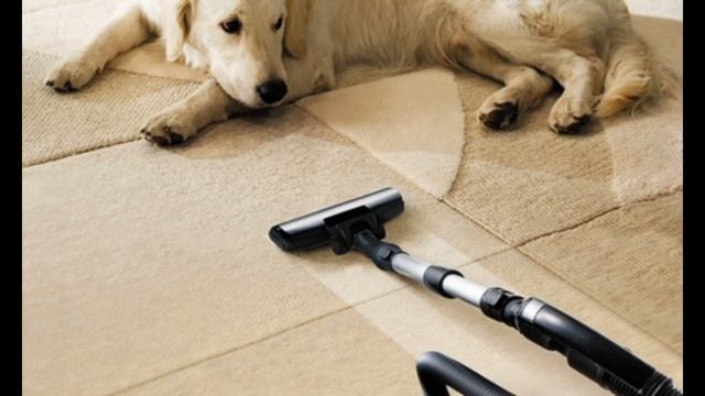 Как Избавиться от Шерсти Животных на Ковре? смотреть онлайн