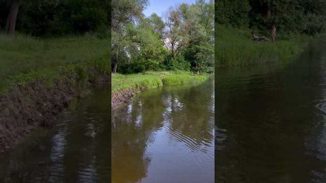 ОТКРЫЛИ КУПАЛЬНЫЙ СЕЗОН