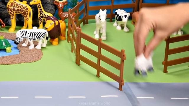 Safari Dioramas For Playmobil Animal Figurines With Zoo Animals Names