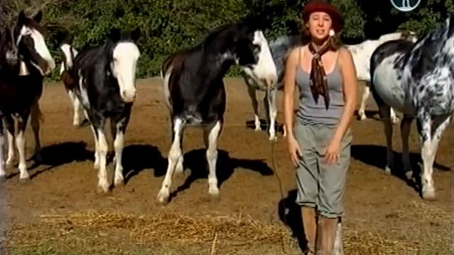 Багатство Аргентины. Пампасы. смотреть онлайн