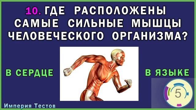 СКОЛЬКО ТЫ ЗНАЕШЬ? Пройди ТЕСТ НА ЭРУДИЦИЮ. Империя Тестов
