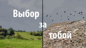 Вторичная переработка мусора | Просто о сложном