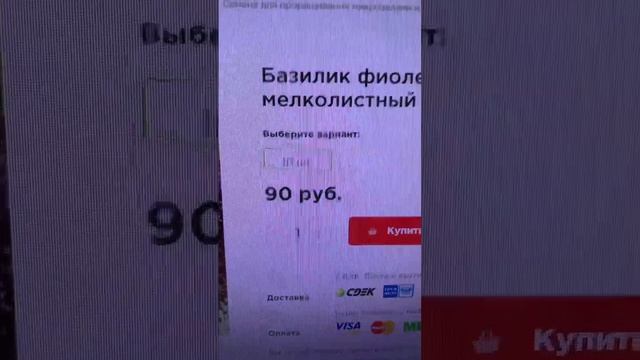 Мелколистный фиолетовый базилик Пурпл болл смотреть онлайн