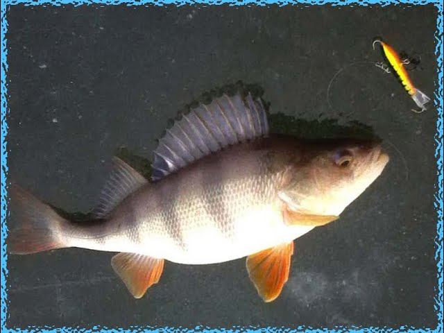 ПОСЛЕДНИЙ ЛЁД|ЛОВЛЯ ОКУНЯ НА ВОЛГЕ|ЛОВЛЯ ОКУНЯ НА БАЛАНСИР. смотреть онлайн