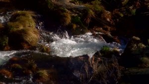 Медитация - Расслабьтесь - маленькие водопады, проходящие по скалам в лесу на рассвете. Горы