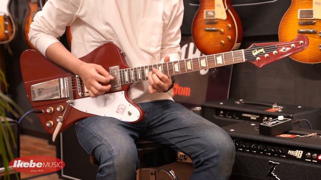 【IKEBE channel】試奏：Gibson CS 1963 Firebird V - Ember Red VOS & Dr.Z MAZ 18 MKⅡ смотреть онлайн