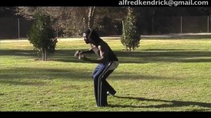 Meia Lua de Frente(Capoeira movements)