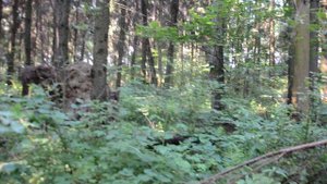 Июль   Граница Украина  Россия, гоптовка нехотеевка