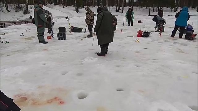 Форель ловится и на блёсны, и на раттлины, ну и конечно на пасту. Клёвое место, Лосиный остров, с/з