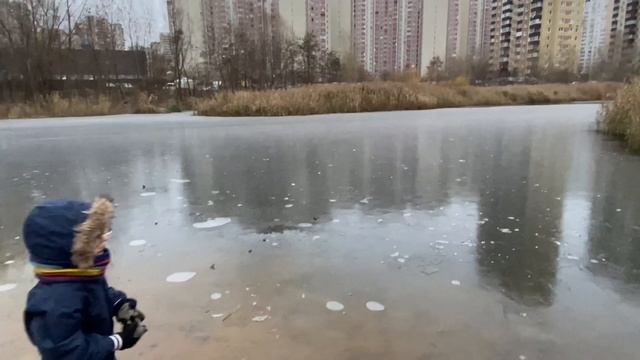 ПРОДУКТЫ на10 € в КИЕВЕ / ВОСКРЕСЕНЬЕ / 26.11.23 смотреть онлайн