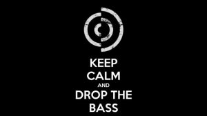 Beste Bass Drops 2014|15