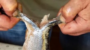 Как разделать и почистить селедку на филе от костей