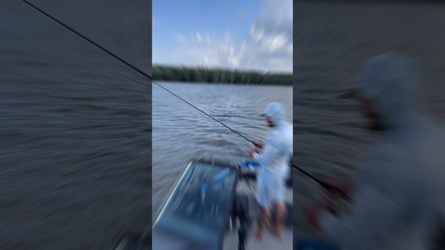 Рыбалка на Оке