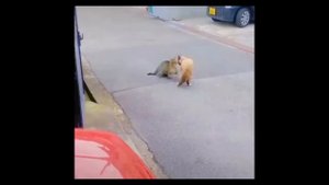 Как объяснить другу что он не прав? Смотрите это видео :-)