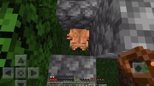 1сезон 6серия Minecraft|жаба, дом, огород, шахта,ферма монстров, мост|за видео зделал так много