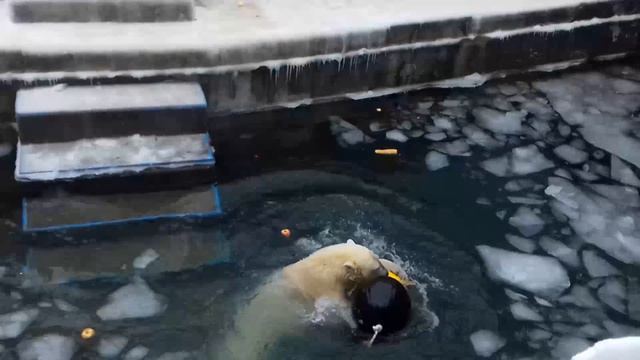 С днём рождения, Герда !!..Happy birthday Gerda !! Праздник начался... смотреть онлайн