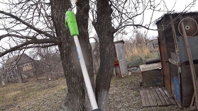 СНИЖЕНИЕ кроны ВЫСОКОЙ ГРУШИ