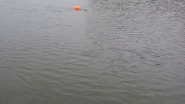 заплыв 1000 м 16.04.2014 Строгино Москва ПАНАСЮК ВИТАЛИЙ СЕРАЯ НАТАЛЬЯ СЛИЗКОВ ИГОРЬ смотреть онлайн